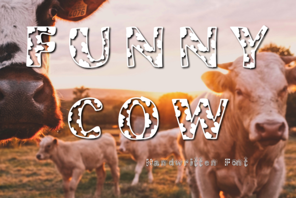 Funny Cow: A Playful Display Font for Brands That Don't Take Themselves Too Seriously