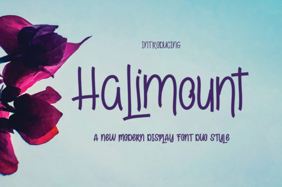 Halimount: A Versatile Display Font for Modern Web Design