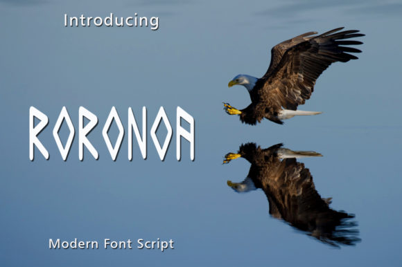 Roronoa: A Display Font with Unmistakable Character